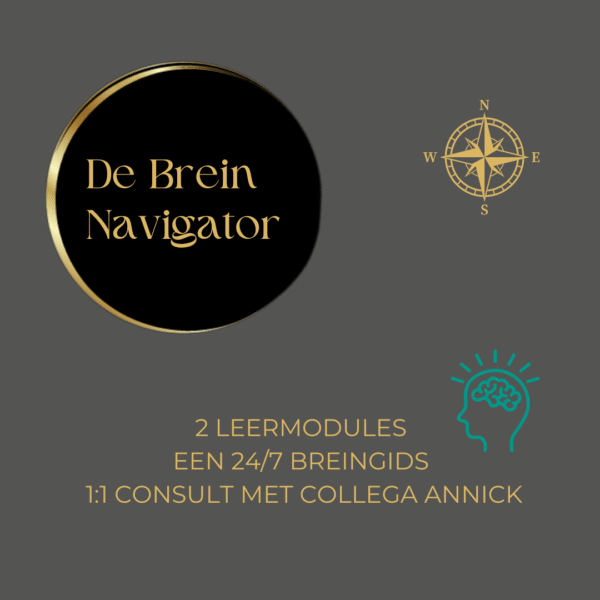 De breinnavigator